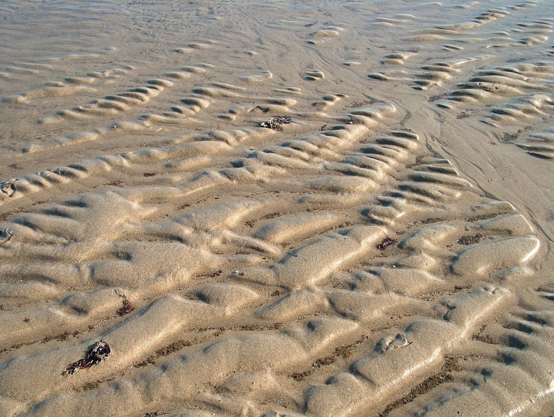 Case Study Image